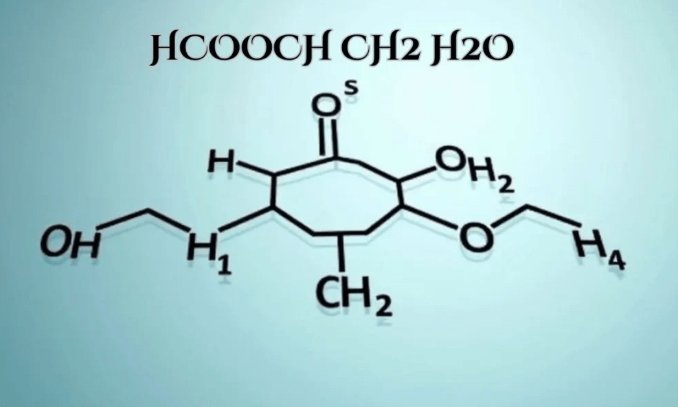 Understanding HCOOCH: The Chemistry of Formic Acid and Its Applications